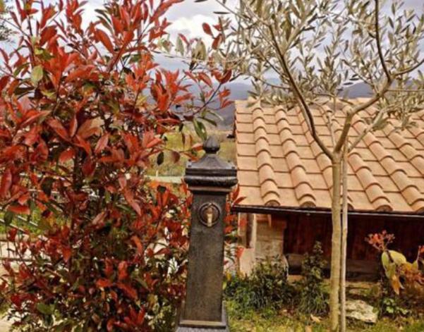 Il Podere Di Massi Barberino di Mugello Exterior photo