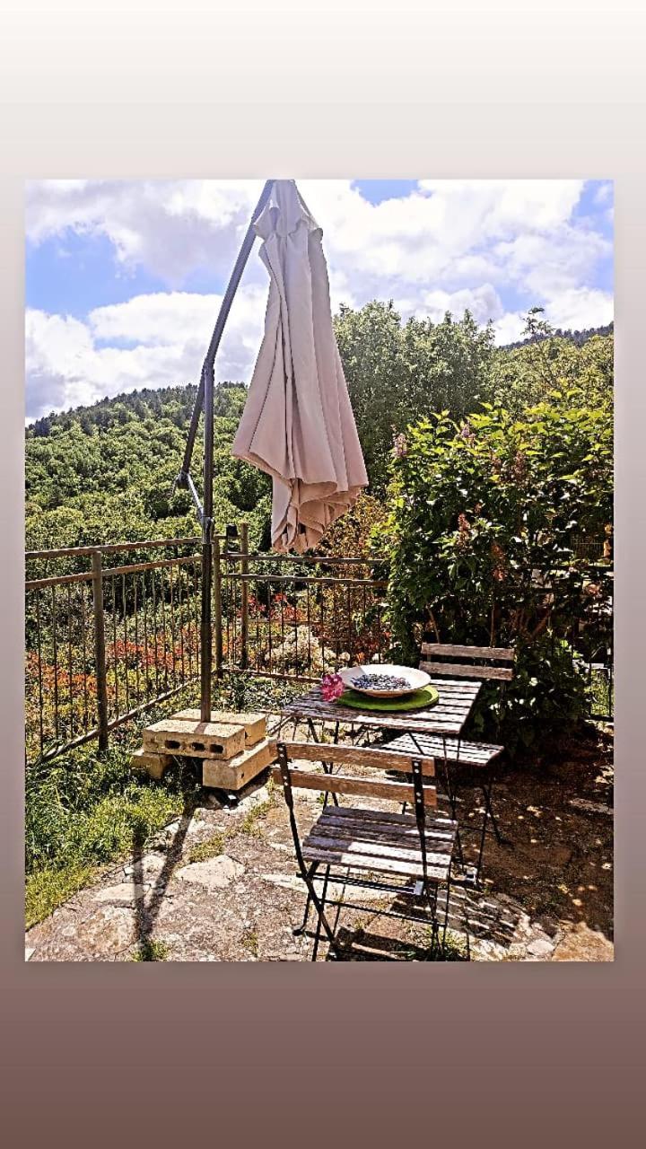 Il Podere Di Massi Barberino di Mugello Exterior photo