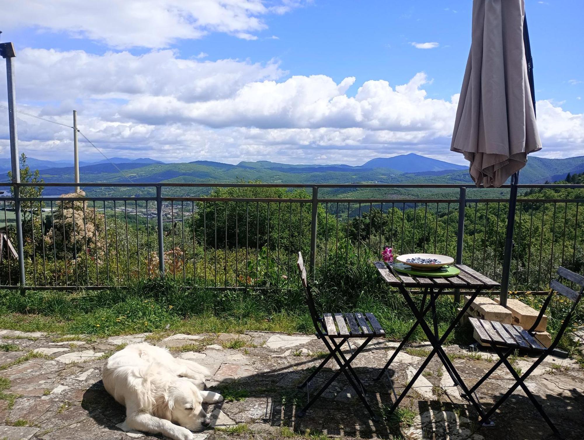 Il Podere Di Massi Barberino di Mugello Room photo